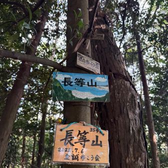 長等山山頂