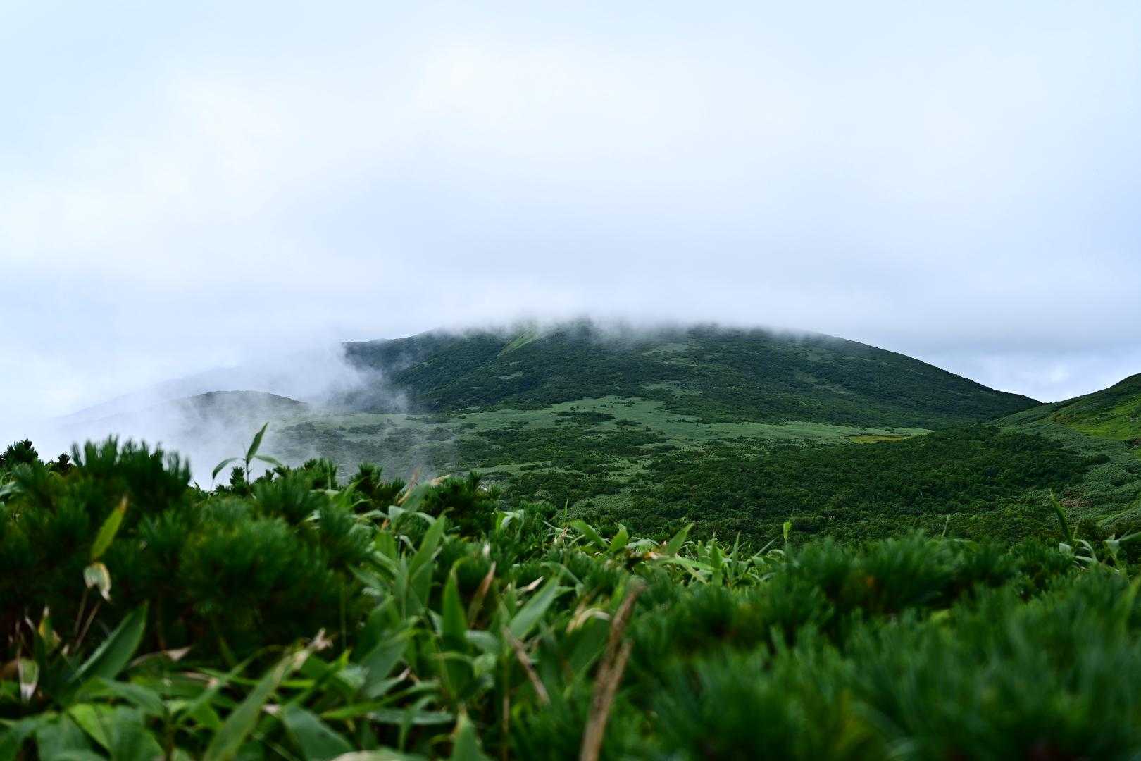 新見峠登山口-前目国内岳-目国内岳-岩内岳 往復コースの写真
