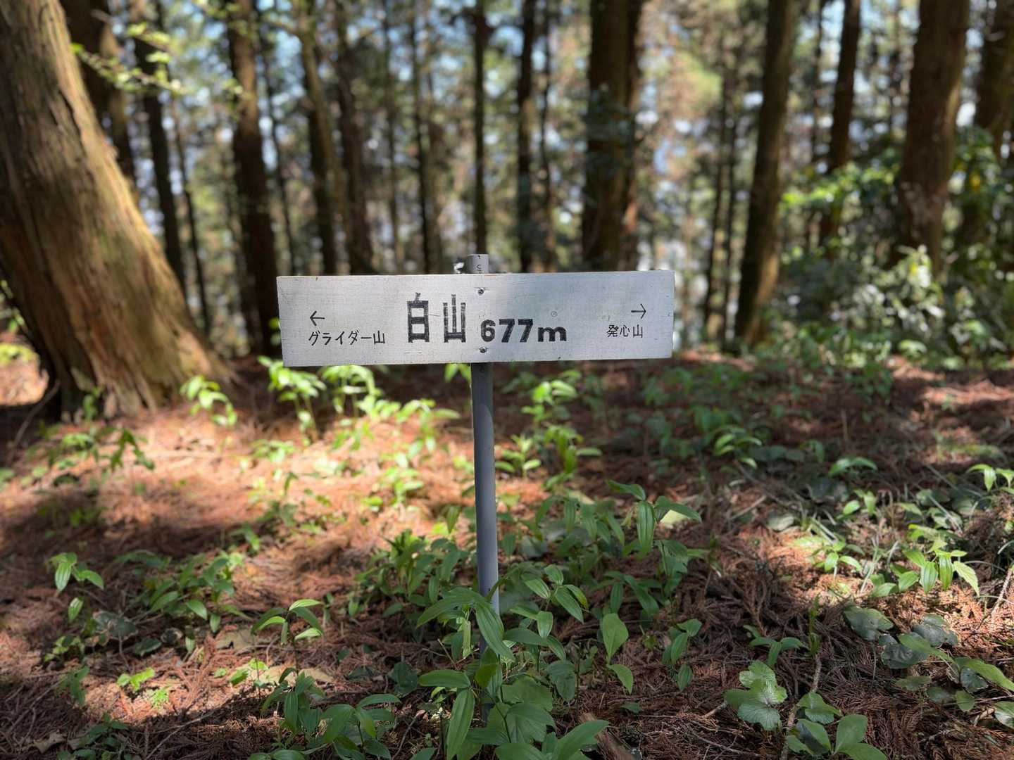 白山 ⚑⚐゛

眺望はない