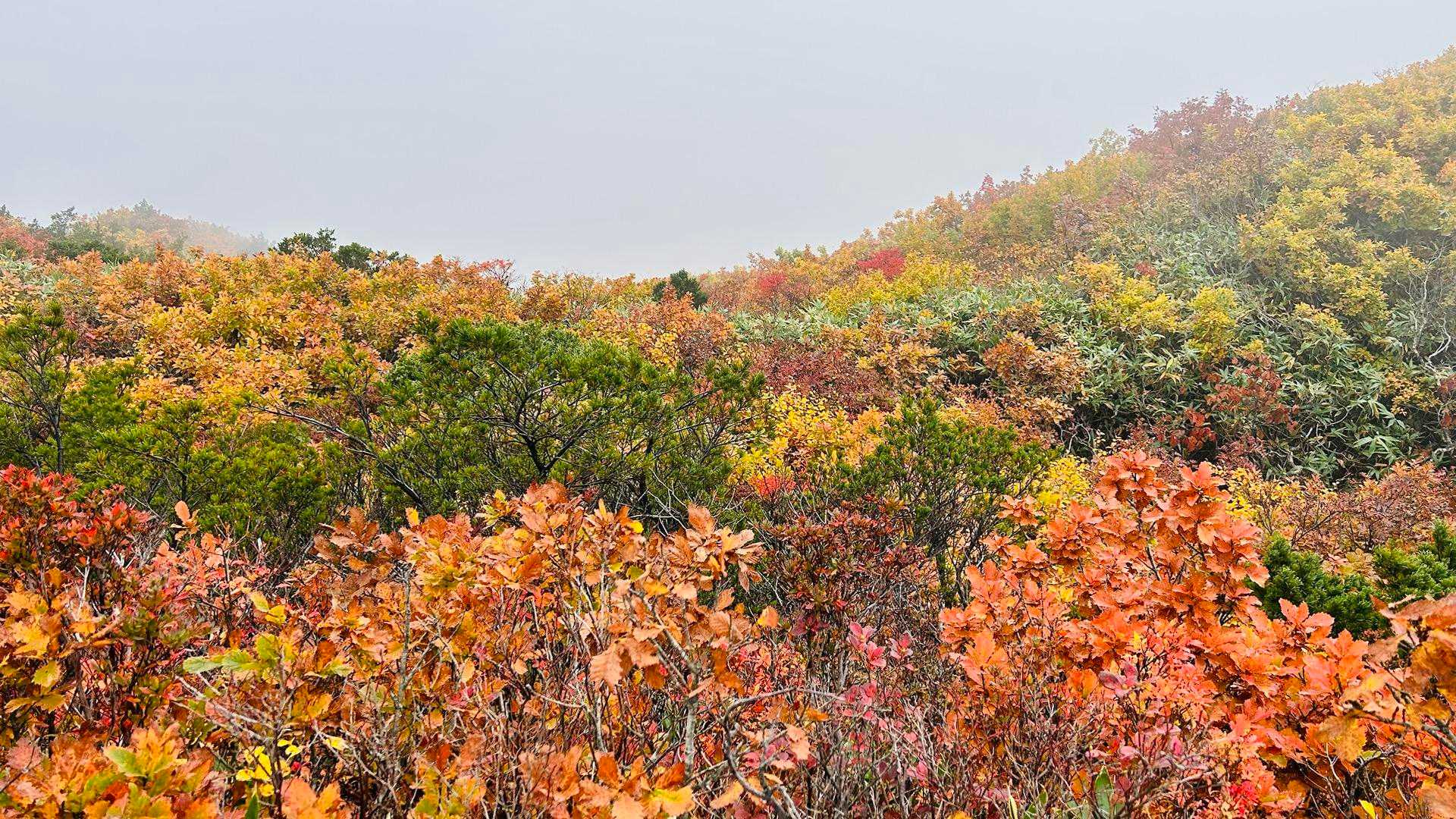 三方岩岳-馬狩荘司山-野谷荘司山 往復コースの写真
