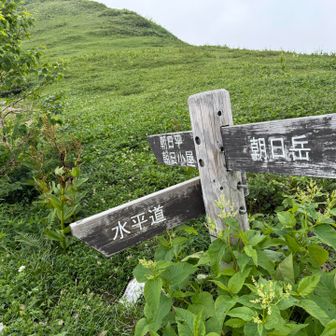 水平ではない水平道、かなりのアップダウンの繰り返し🥵💦