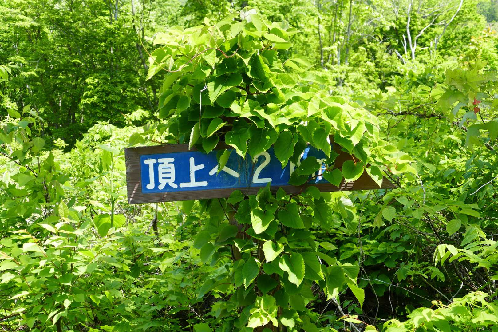 東岳までは２km。
へー楽勝じゃんってこの頃は思ってました😅