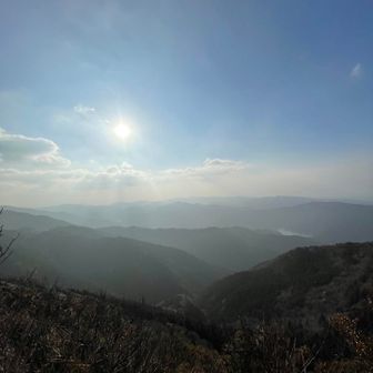 一般城メグラー