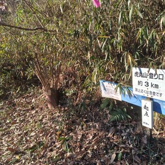 別所·新宮池コース 登山口