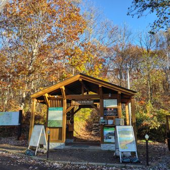 紅葉🍁が美しい登山口、もちろん500円投入を忘れずに