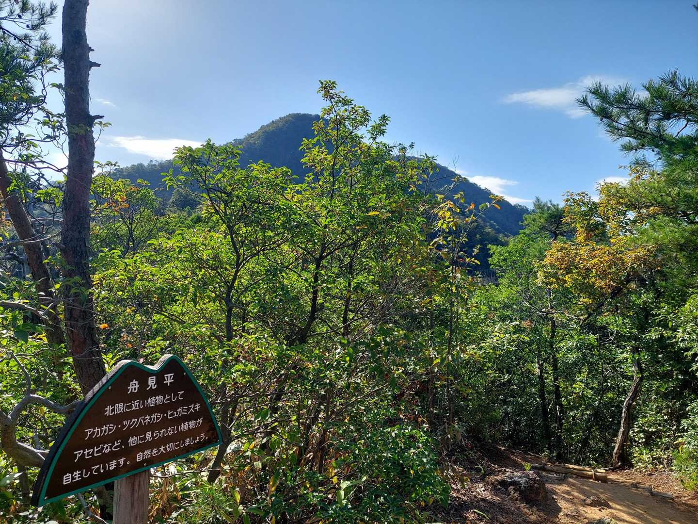いつも撮ってる 舟見平からの鞍掛山