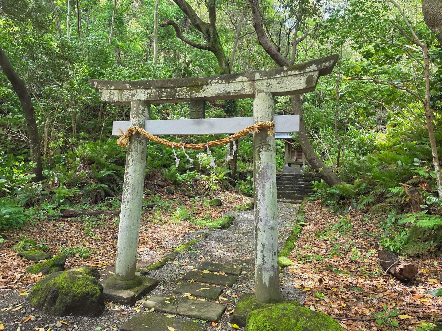 山の神社⛩️
