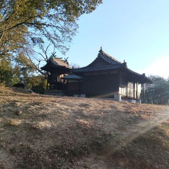 山頂の七面神社が見えてきた✨