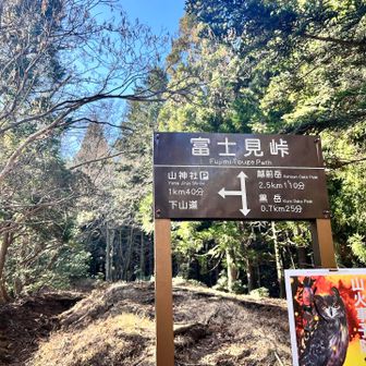 富士見峠。ここで一旦黒岳へ。