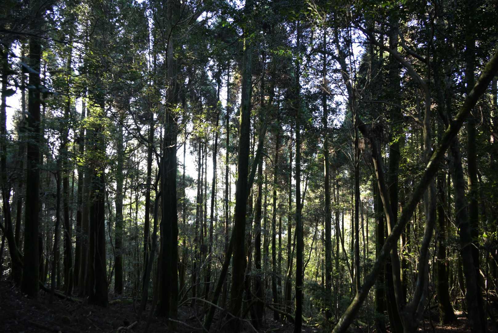 皆様今年もご安全に山行を楽しみましょう😊