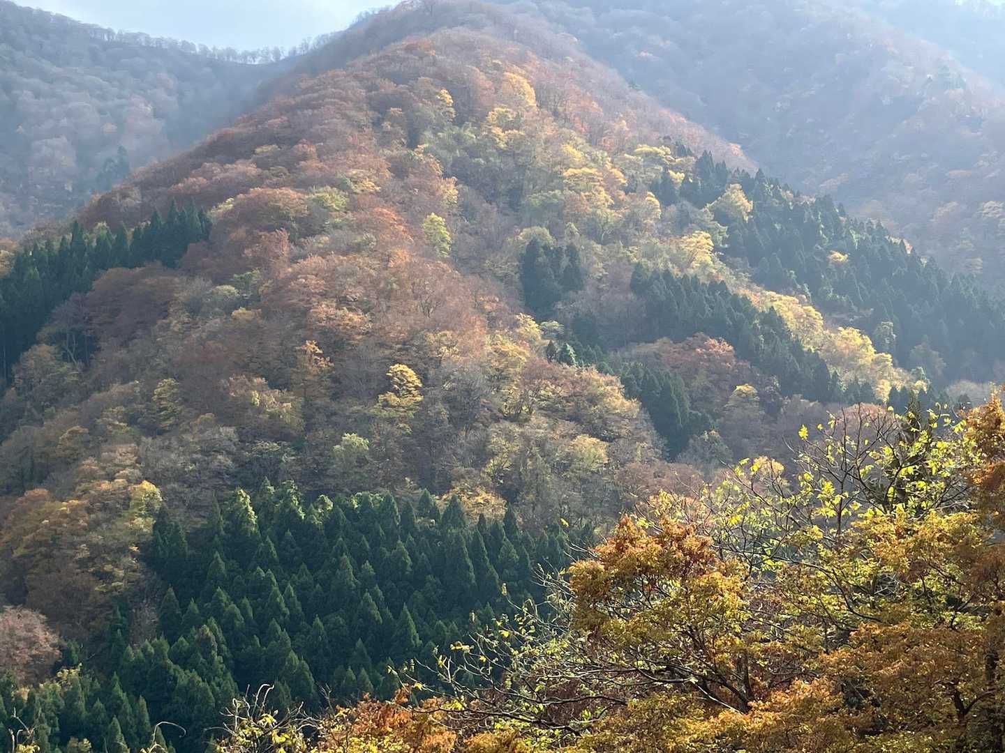 向かいの山⛰️が神々しい✨