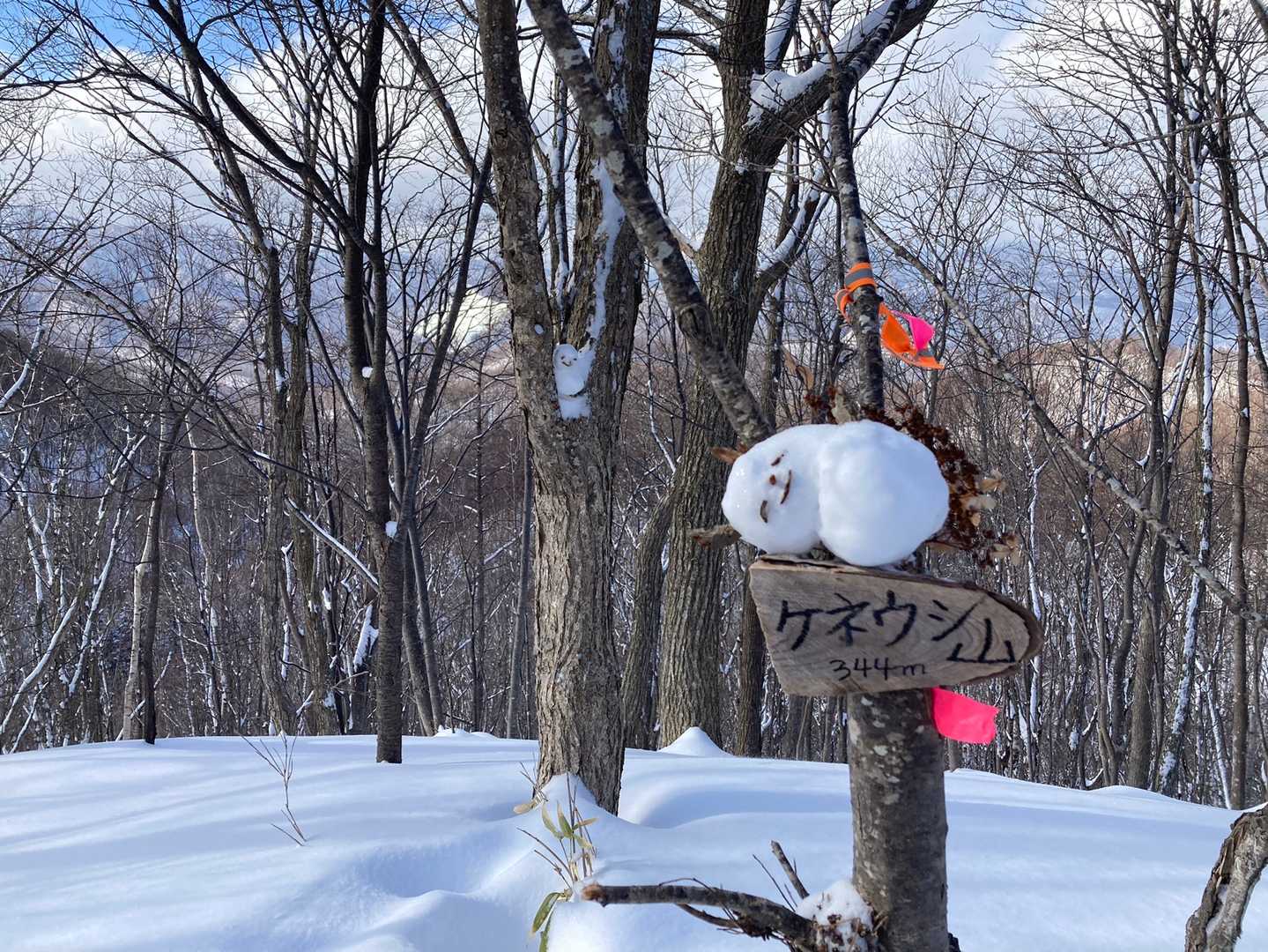 　　　　ケネウシ山🏔。。登頂❣️
　　　雪だるま⛄️がとっても可愛い😍