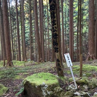 武田信玄公の腰掛け石

今から約450年前、約3万の兵で青崩峠を越え、徳川家康との三方ヶ原の戦いに挑んだそうです。