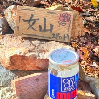 YAMAPと ちょっとピークがズレてる。
周り歩き回ってみたけど、 薮で1人ぼっちでコケただけで、何にも収穫なかった。 。
注：
ちなみに このワンカップは
誰かがお供え？ しておいてあった物です。
けして私が飲むまえに映え写真を撮ったワケではありません🥺