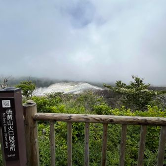これが最後の展望かと思い景色を味わう