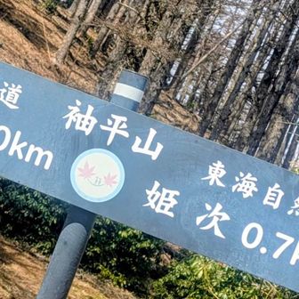 分岐ミーティングです🧑‍💻
【議題：袖平山⛰行くか!?行かないか!?】
🥸：たいした距離じゃないよ
🧕：コースタイム片道20分とありますけど
🥸：（師匠登頂済☑️）そんな時間かからなかったよ、アップ⤴️ダウン⤵️なかったよ
🧕：膝大丈夫です 
脚の痙攣もないので行ってみることにします
ダンダン💦
ドンドン💦
アンポンタン🧕!?
が・が・頑張ります🫩