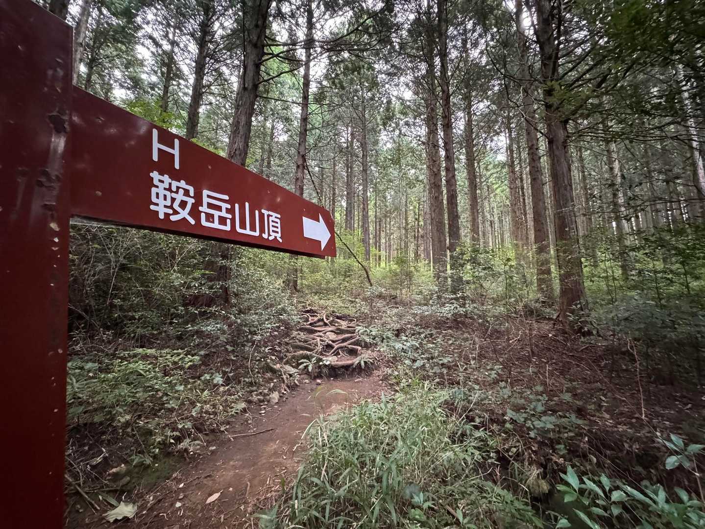 伏石登山口-　 往復コースの写真