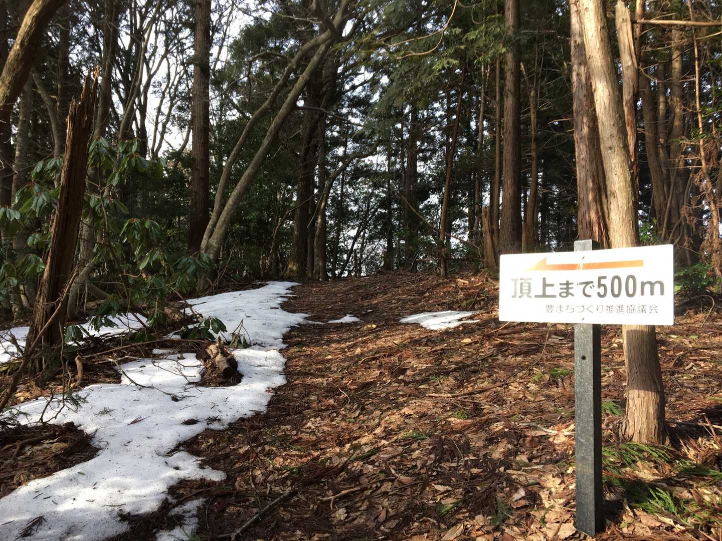 あと５００mを過ぎると、
まだ雪が１０センチくらい残っています。
相変わらず、
動物さんたちの足跡多し