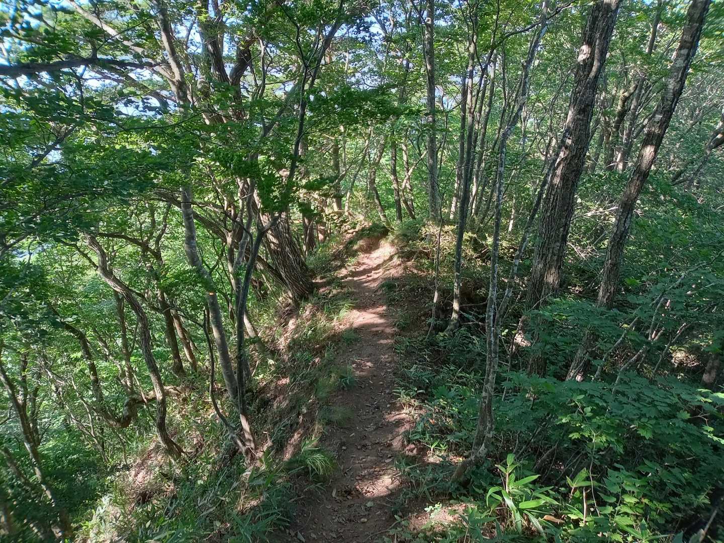 名久井岳登山口-月山-名久井岳 往復コースの写真