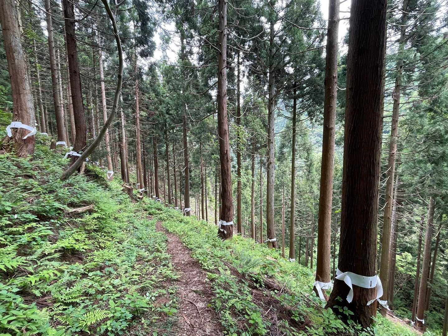 下山
