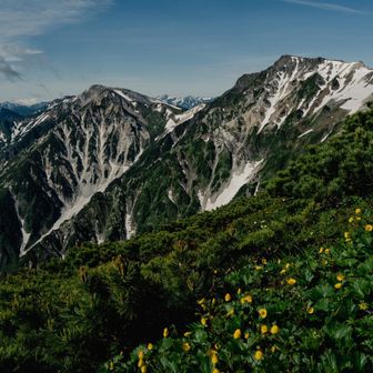 白馬岳・小蓮華山 お花畑も最高でした