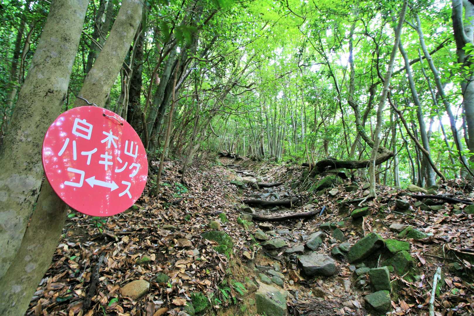 たしかに一般登山道ではあるが。。。