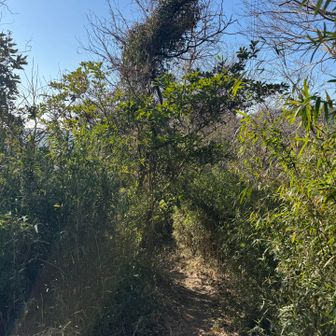 次を目指します