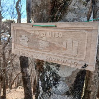 宝生山についた