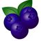 blueberry