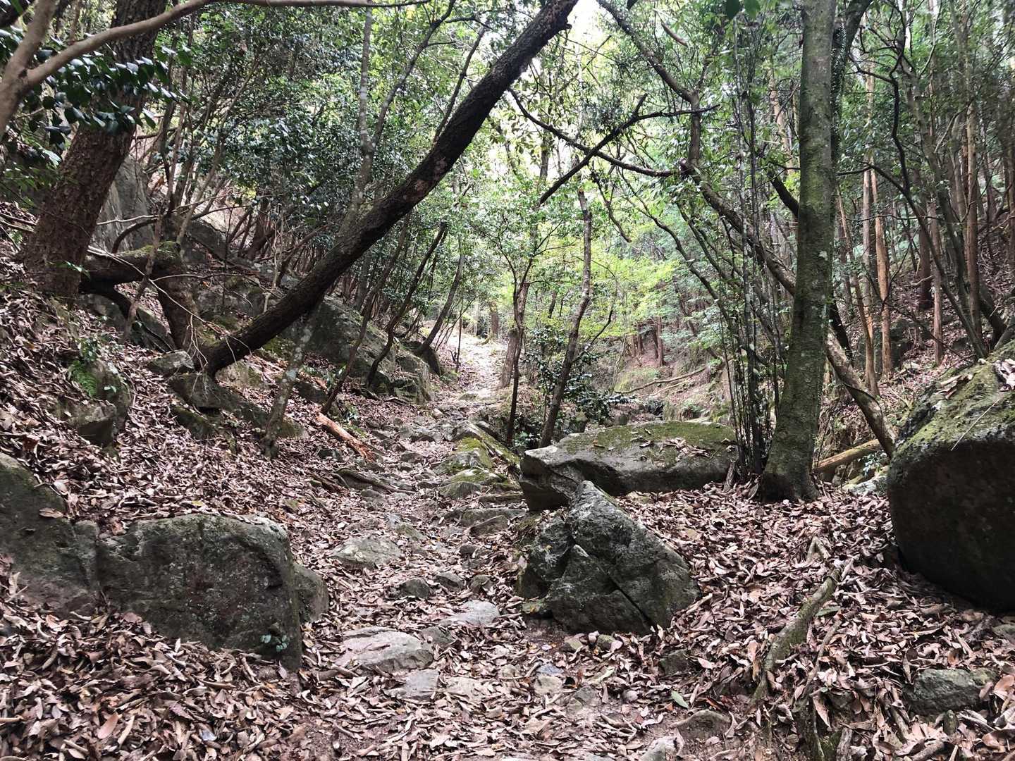 六角坂登山コース気に入った！
全然しんどくない道。