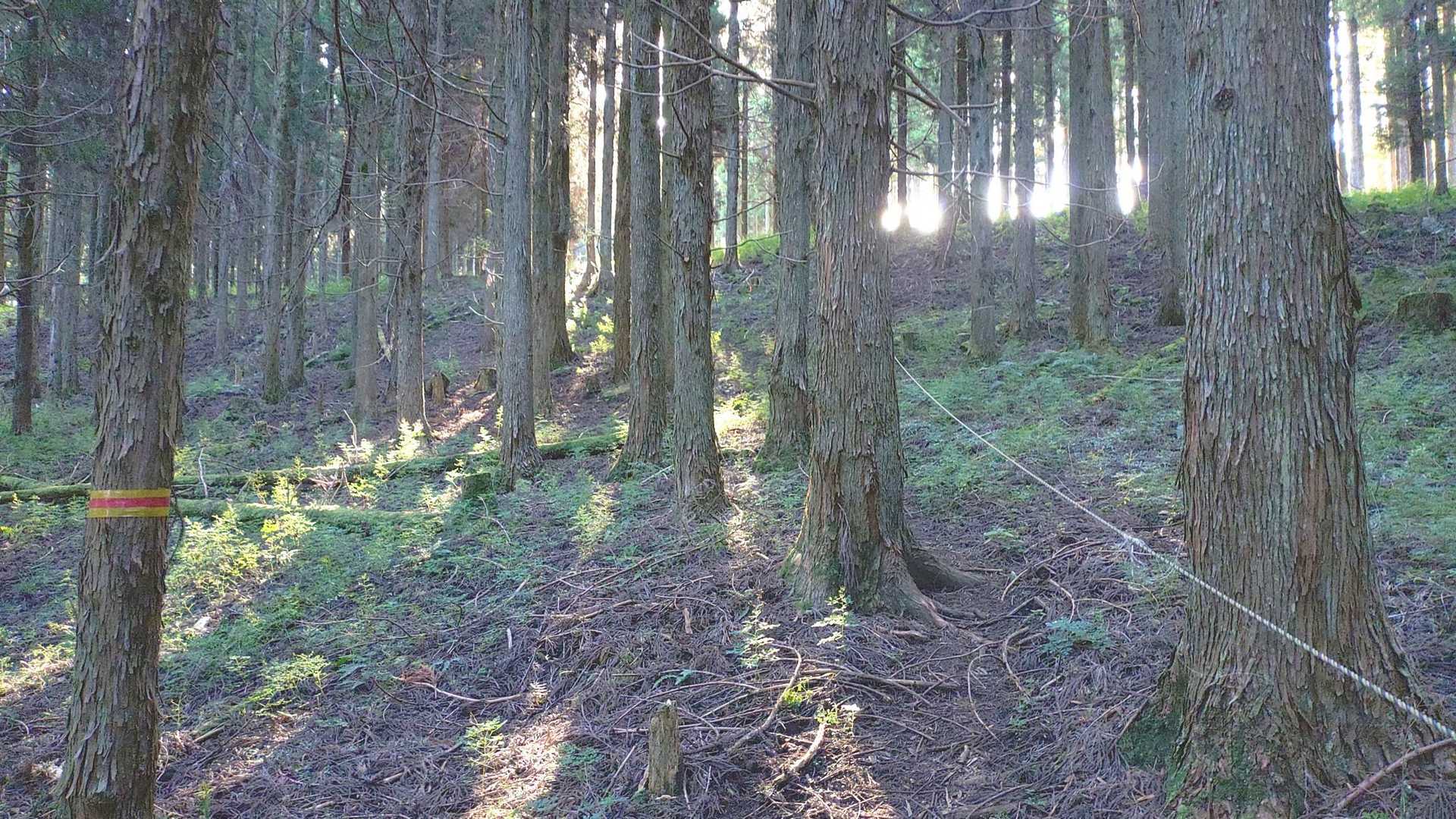 脊梁テープにロープ、正規ルート安全ですね✨️