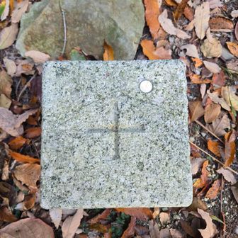 一等三角点の｢天満山｣です。標高は244.3m です。今は山頂からの眺望はありません｡しかし一等三角点の山に選ばれているぐらいですから、昔は大変眺望が良かったのだと思います。
なおこの西の山は一度山林火災で丸焼けになりました。その後シダが繁茂するようになったとの事でした。そして眺望が失われたようです。