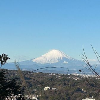 今日一の富士山🗻