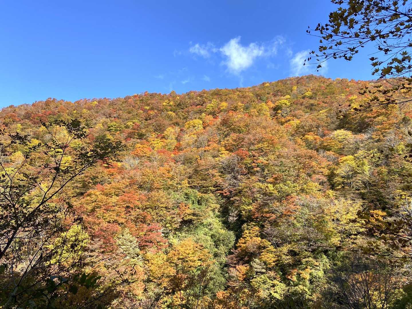 いろんな色に染まる山