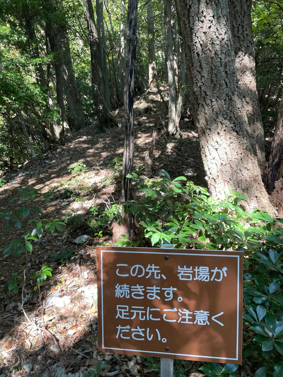 ちょっと岩場🪨ありました♪