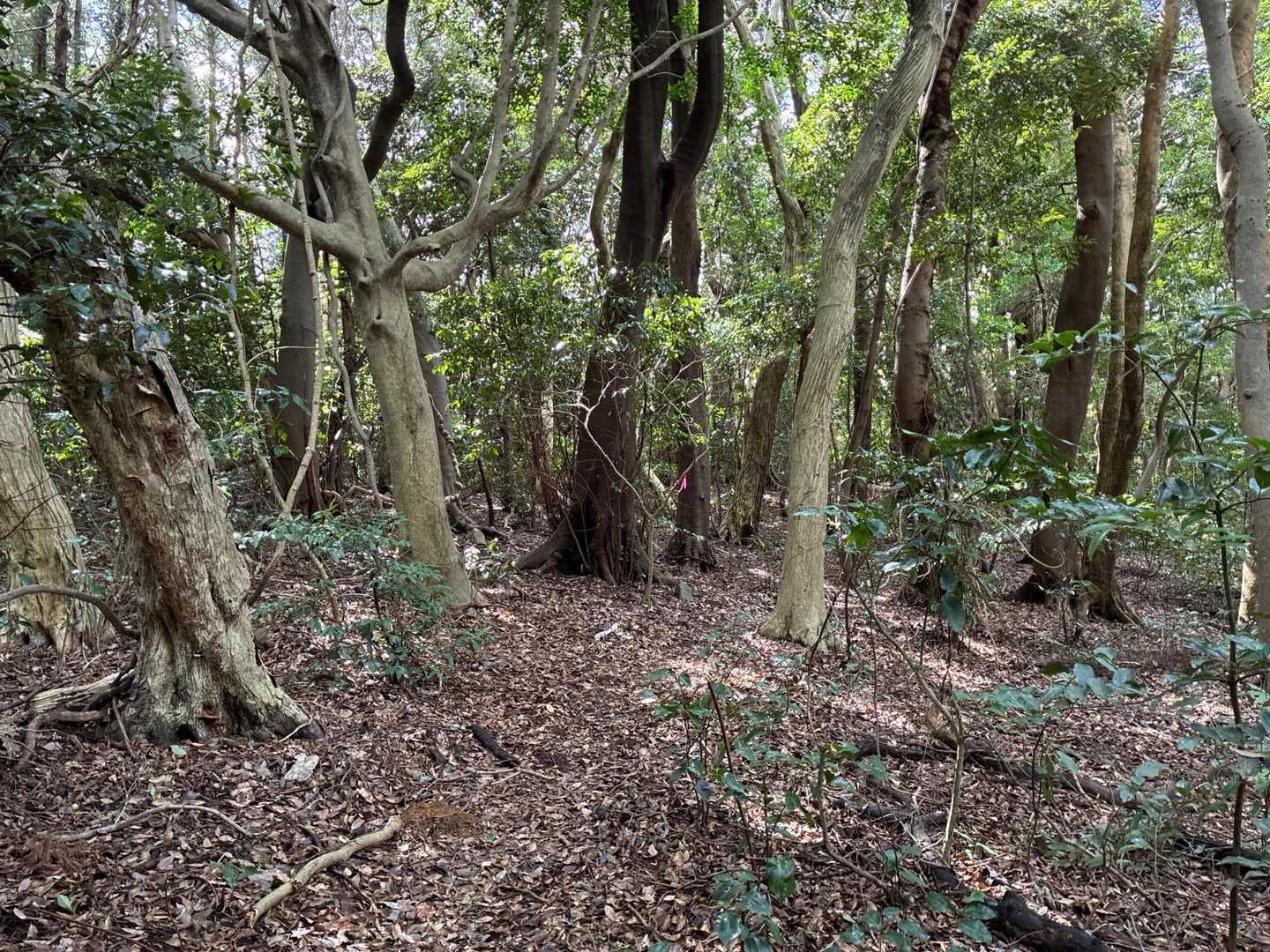 下山します。
