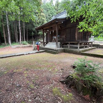 神社でお参り⛩️