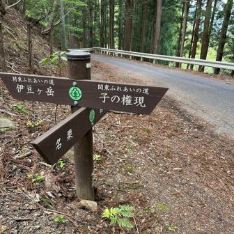 一旦、舗装路へ💁‍♀️