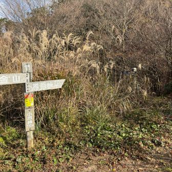 小爪峠に到着。