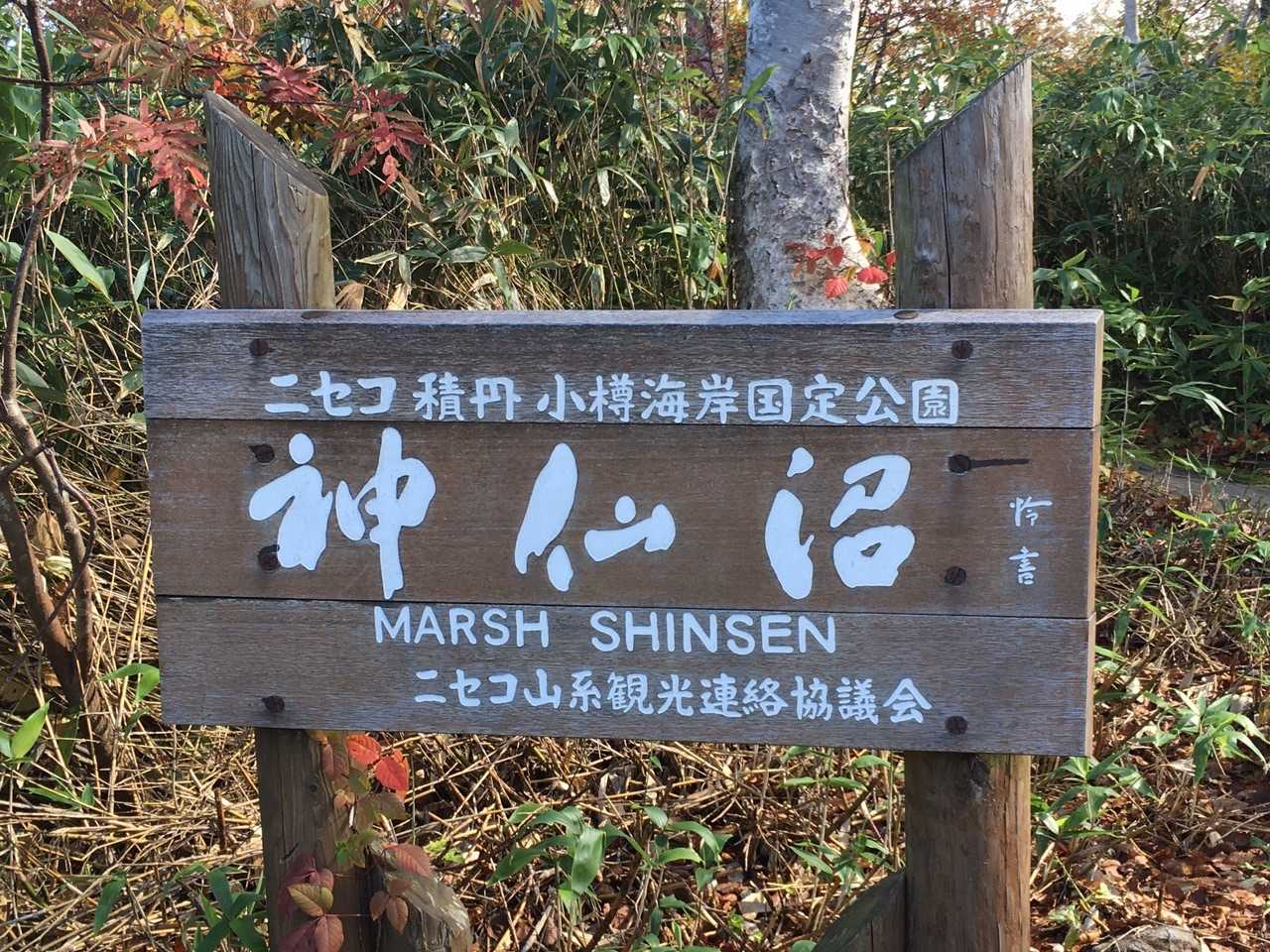 たくさんの人が訪れています