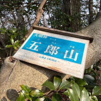 私くらいかと思いきや