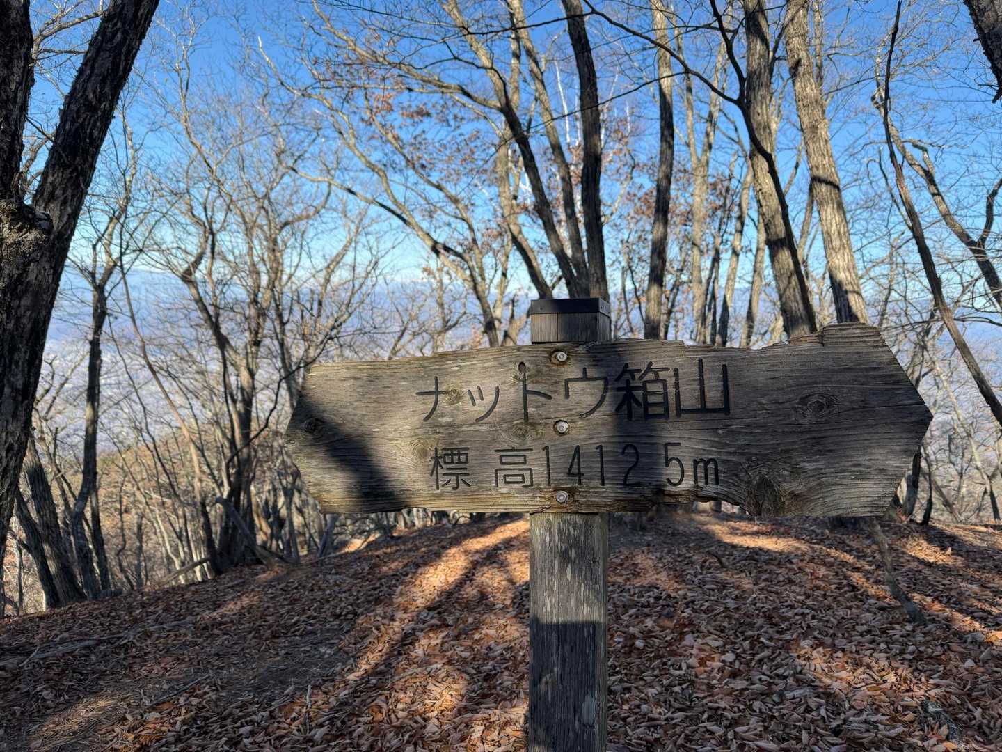 ナットウ箱山。名前が面白すぎる