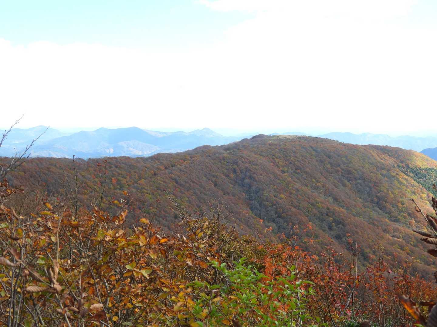 池ノ段 周回コースの写真