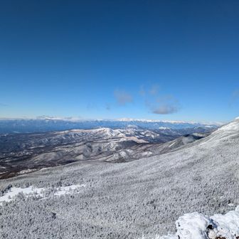 展望台からの絶景。
