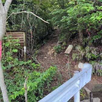 登山道入り口　駐車場から　林道100m下った右側にある