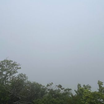 あいにくの曇りで景色はほぼ見えずでした🧐