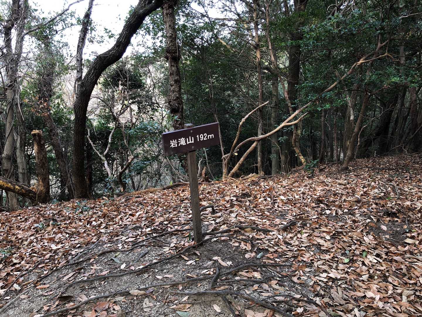 岩滝山頂上。眺望なし。ここからは初日の出は見えませんね。やはり、高尾山か日浦山が良いのかな。