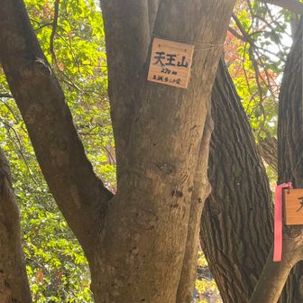 天王山登頂‼️山名板がいっぱい‼️