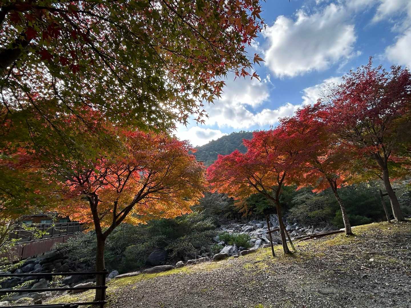 少し雲が出てきましたが、鈴鹿の秋を満喫です。
この後、直帰でサイゼで🥂、下りて一杯呑むまでが登山の完了です。