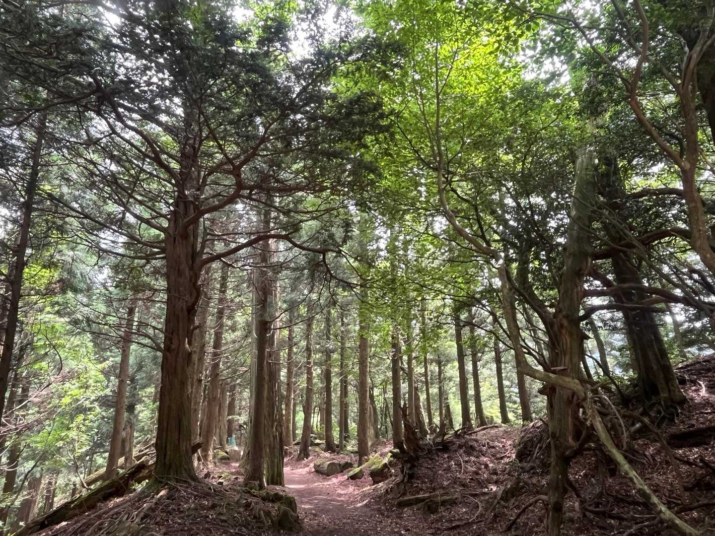 風が抜けて気持ちい～い🍃